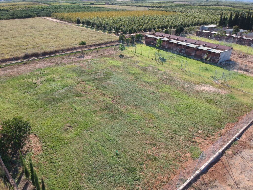 DCIM/100MEDIA/DJI_0396.JPG